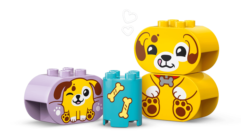 LEGO DUPLO Shape Sorter: Puppy House (10441)