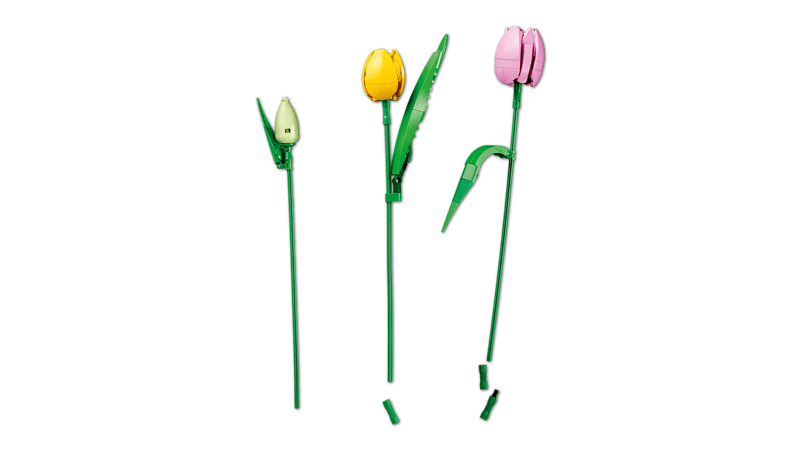 LEGO Botanicals Tulip Bouquet (11501)