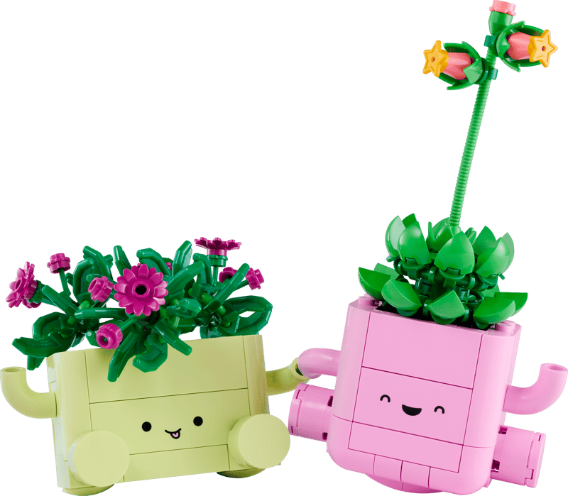 LEGO Botanicals Rocking Plants (11506)