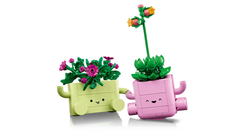 LEGO Botanicals Rocking Plants (11506)