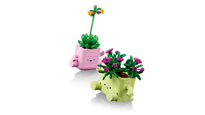 LEGO Botanicals Rocking Plants (11506)