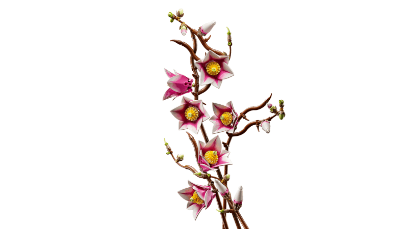 LEGO Botanicals Magnolia Branches (11510)