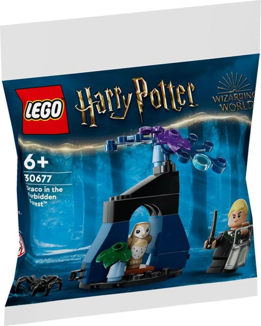 LEGO Harry Potter Draco in the Forbidden Forest (30677)