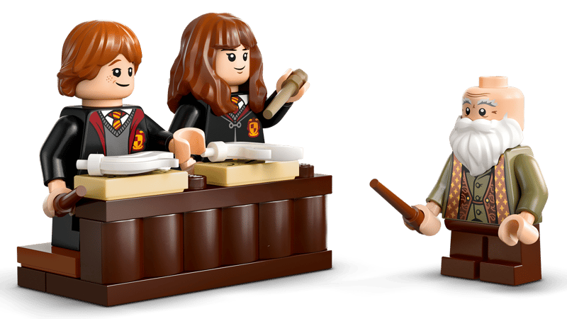 LEGO Harry Potter Hogwarts Castle: Charms Class (76442)