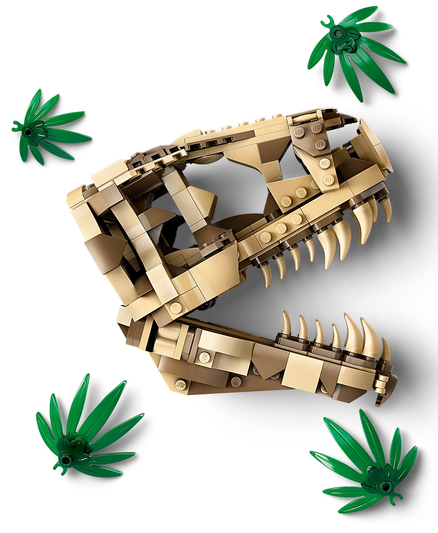 LEGO Jurassic World Dinosaur Fossils Tyrannosaurus Skull (76964)